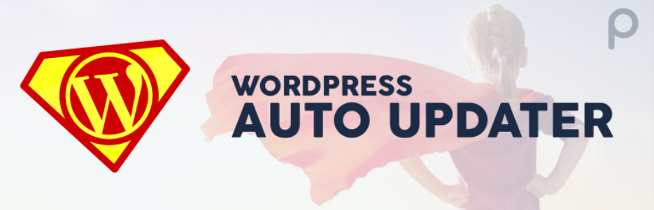 WordPress-auto-update-plugin-6